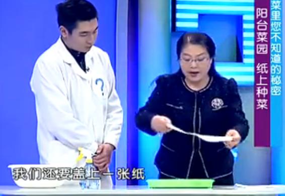 出来的五个种菜实用小技巧,纸上种菜可以种向日葵吗