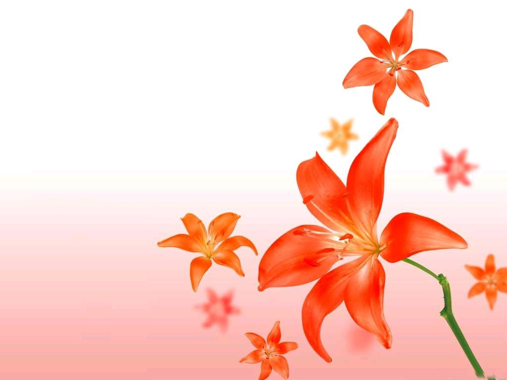 22年英语全国乙卷七选五翻译,高考英语七选五2017全国卷