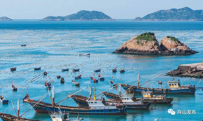 生活在外的舟山人，你们过得好吗？