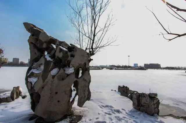 石大校园的图片,石大校园美景图