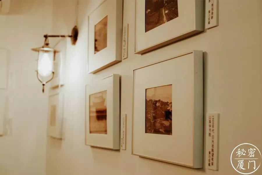 与厦门15位“大神”对话,其中几个说不定你还认识