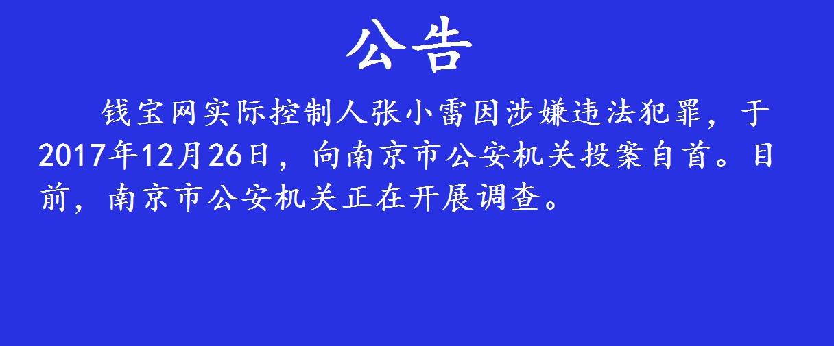 钱宝网事件最新动态视频,钱宝网案件的分析