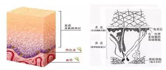 身上长了痣抠掉了,莫名其妙长了颗痣