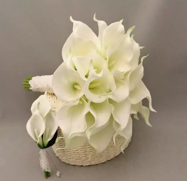 彩色马蹄莲花语象征与寓意,马蹄莲花语象征与寓意