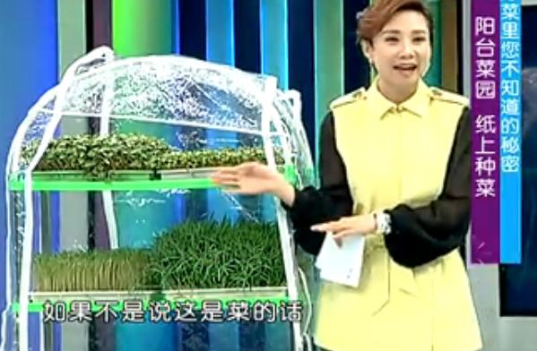 最新纸上适合家庭种菜的方法,纸上种菜方法