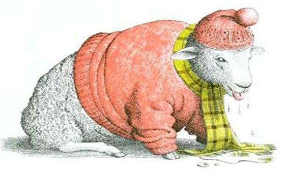 老约翰绘本是适合多大孩子看,读绘本时候如何提问启发孩子思考