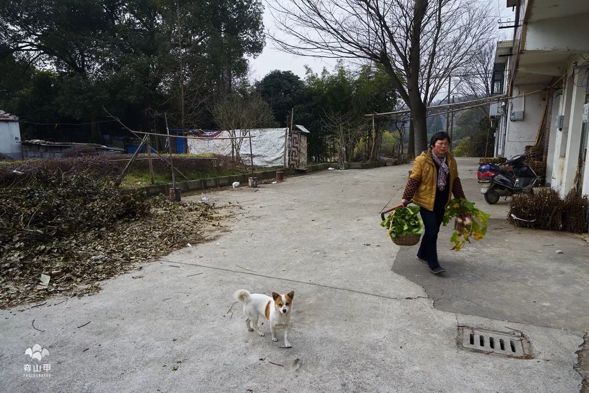 无锡江南古村,尧歌里古村入口景观工程