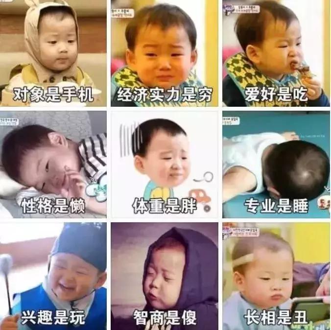 你的2017是什么样子,你的2017这一年总结