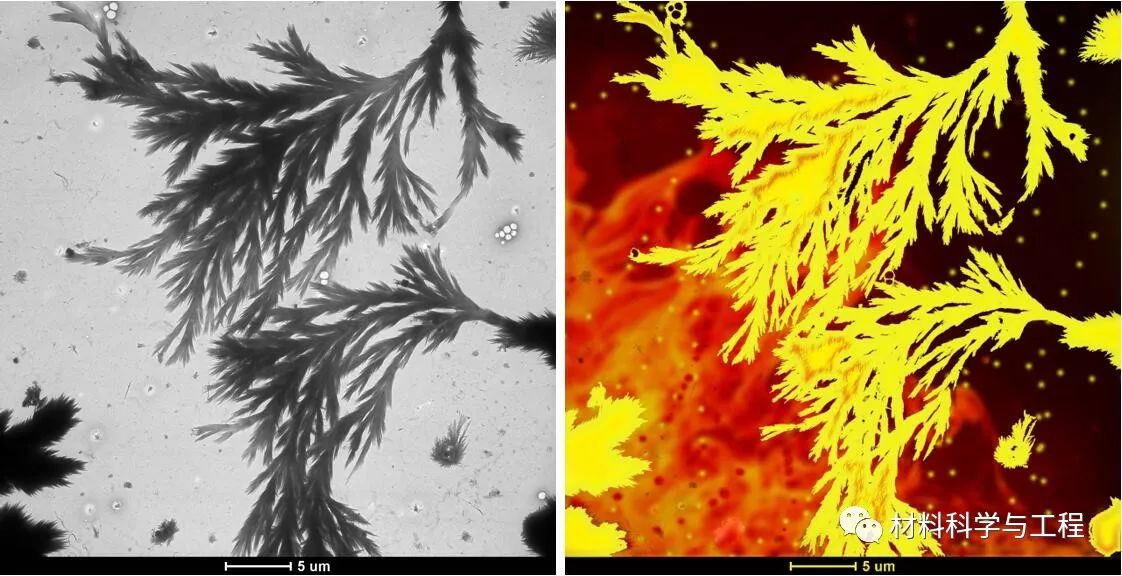投票表决素材模板,投票素材图片图文