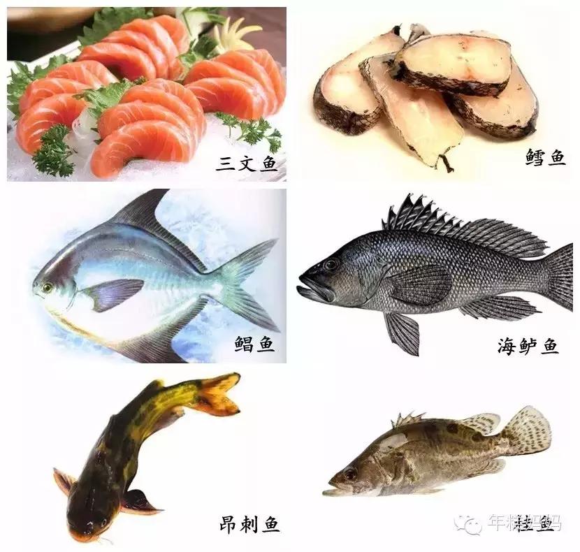 吃鱼变聪明,吃鱼变聪明需要多久