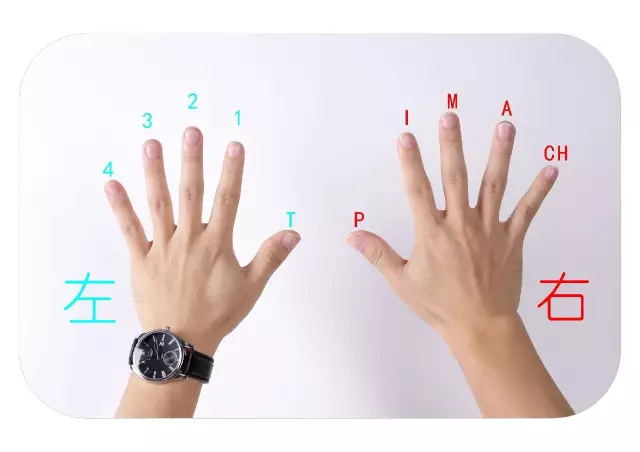 吉他弹唱听闻远方有你吉他教学,吉他自学快速上手曲子