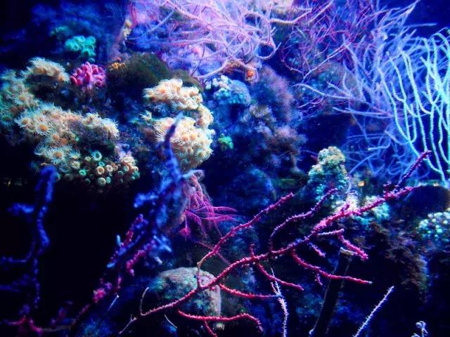 法国纪行—摩纳哥（看看F1赛道，欧洲*场赌**和摩纳哥王妃）