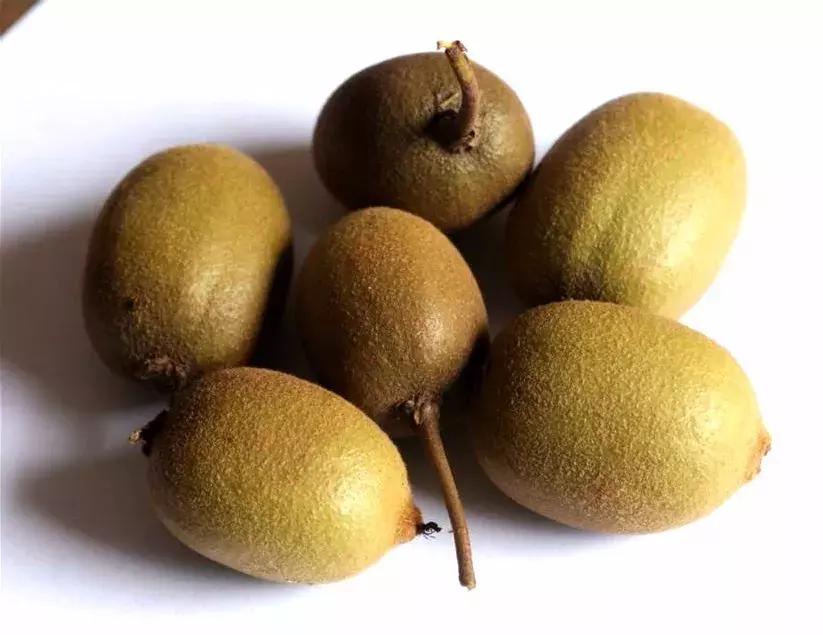 徒步四小时上山看雾凇,这个元旦去哪看雪