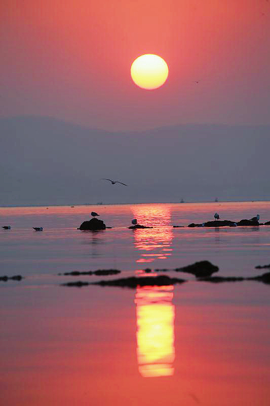 爱上旅顺这座城,爱上大连这座城市