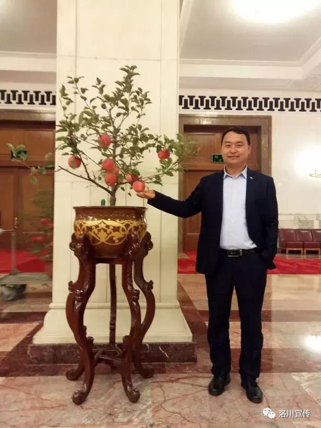 走过我的冬天,走过我们的2017完整版视频