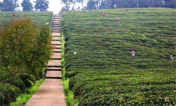 江宁溪田田园综合体,南京田园综合体