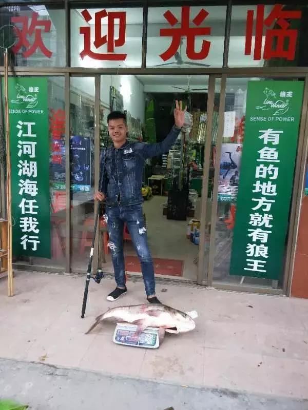 2017收官之作,FS传奇征战“沙场”,点兵大鲢鳙!20斤大鱼爽歪歪