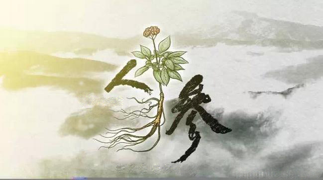 人参文化人参传奇,千年古参的民间故事