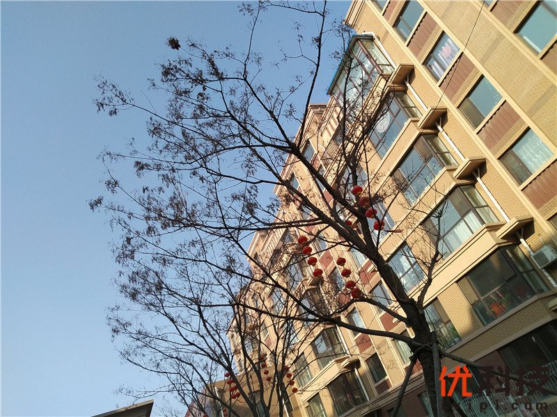 千元以内无敌手360N6Lite之优科技全面体验