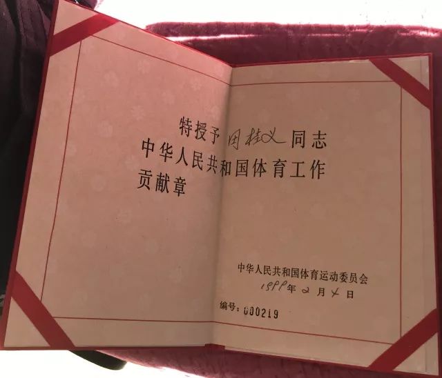 津门足坛双百颂高玉勇,津门足坛双百颂陈金刚