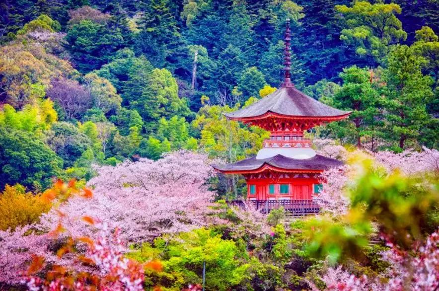 鍥涘浗宀涚箒浣撳瓧,鍥涘浗宀涙湁鍝簺浼犺