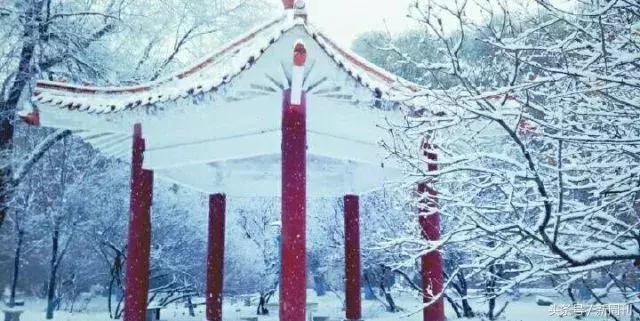 全球最美的十大雪景,全国十大最好看的雪景