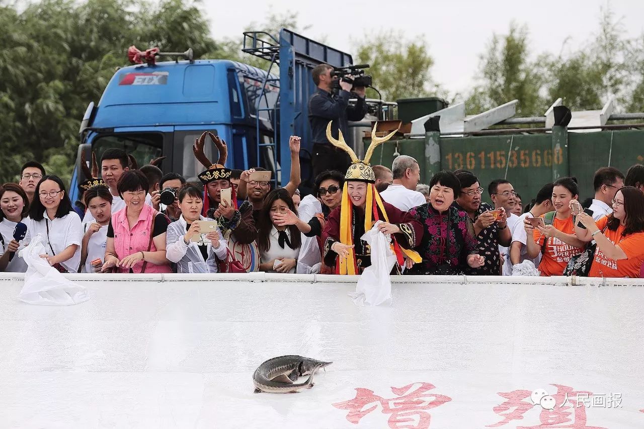 一周画报2017,周末画报2017