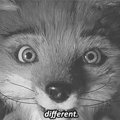 hr遇到这几种情况该怎么正确处理,hr面试真相大揭秘