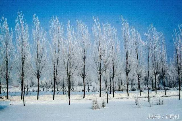 全球最美的十大雪景,全国十大最好看的雪景