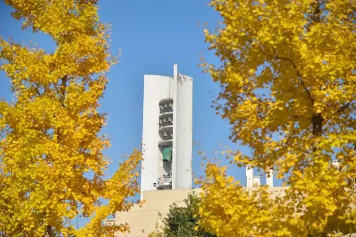 神一样的学校高考和中考都很惊艳,神一样的学校