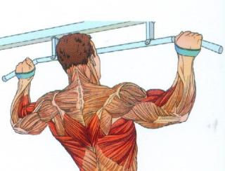 练习哑铃后要练什么,练习哑铃的时候一直收紧腹部吗