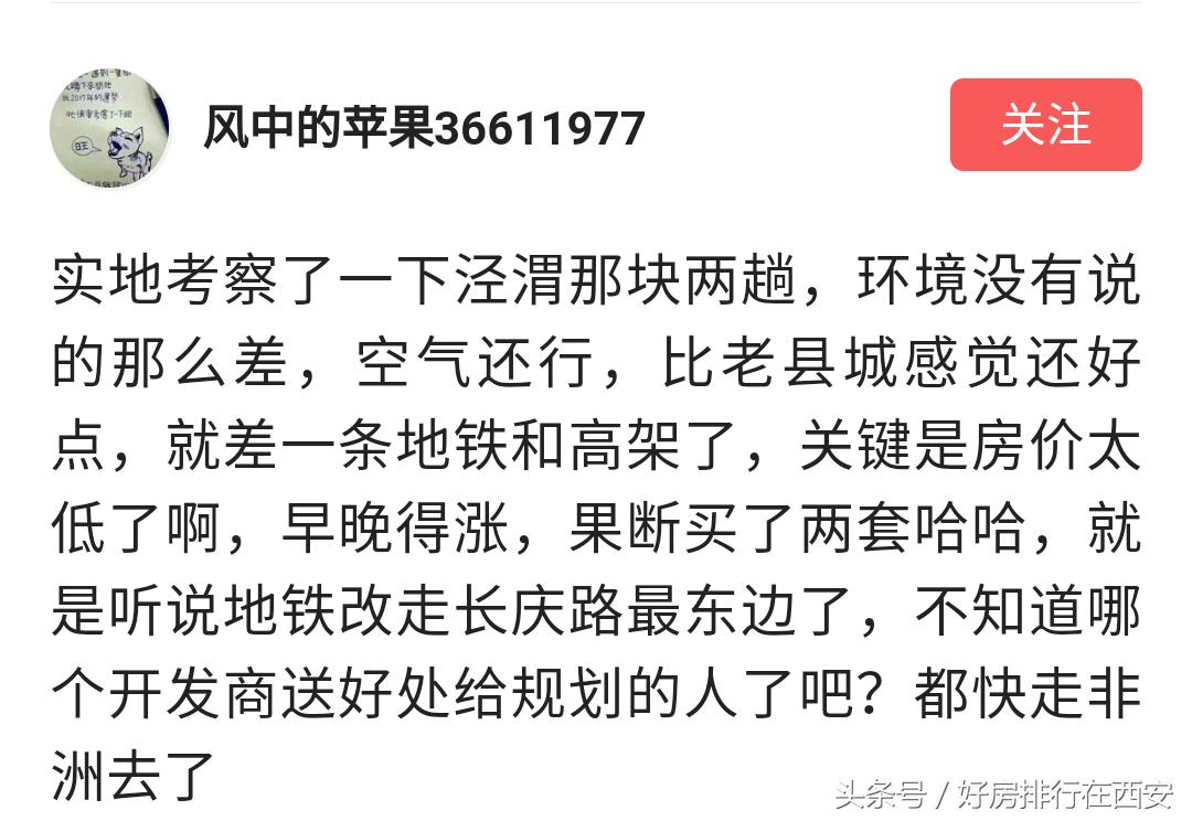 高陵滞销白菜,高陵为什么是关中白菜心