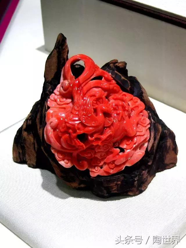 台湾红珊瑚,被列为七宝之一,自古即被视为富贵祥瑞之物!收藏