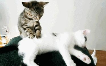 春节送礼怎么送省钱又有面子,新春送礼最全宝典