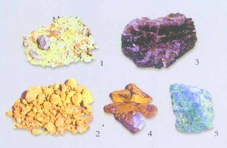 中华上下5000年所有的经典知识,中华上下5000年这本书的主要内容