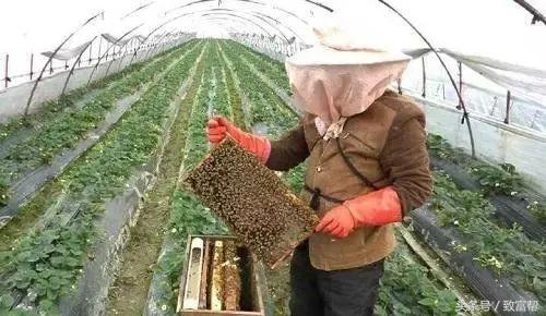 过去免费的致富金点子,四条致富指南请你用心收藏