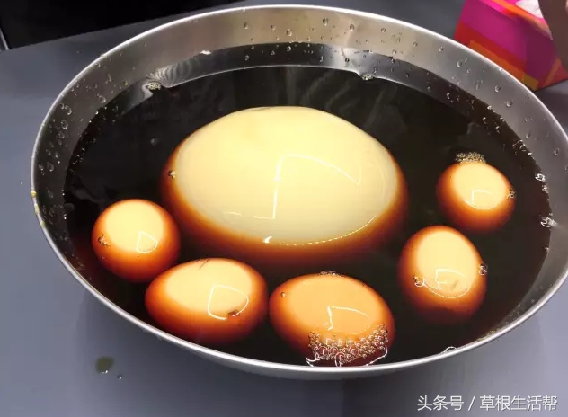 养殖“大笨鸟”，敲开致富门，80后回老家创业成为新一代农场主