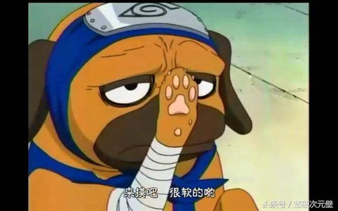 最受欢迎的动漫可爱宠物神奇宝贝,可爱动画皮卡丘