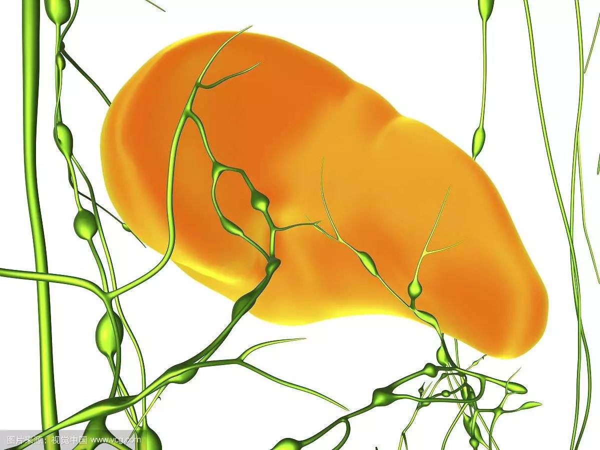 肝硬化脾大脾亢最多能活多久,丙肝引起肝硬化脾大脾亢