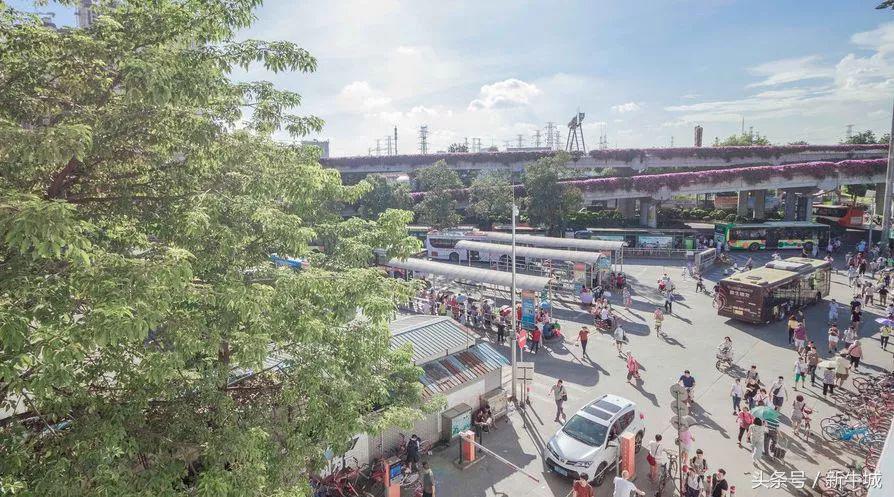 邢台通讯录,邢台有哪些便民信息平台