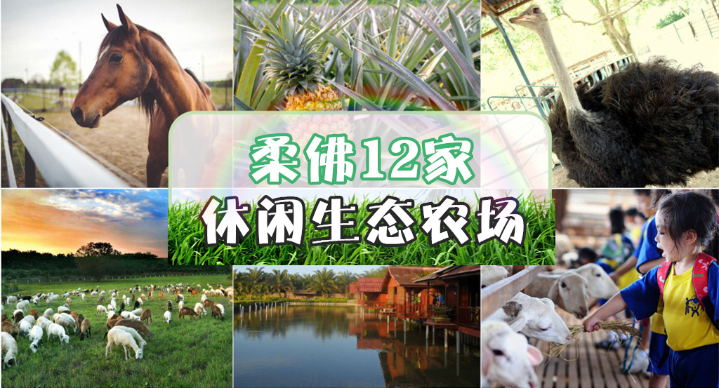 马来西亚亲子旅游攻略自由行,马来西亚亲子游玩地点推荐