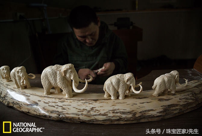 象牙禁令前收藏的象牙,哪一年开始禁象牙