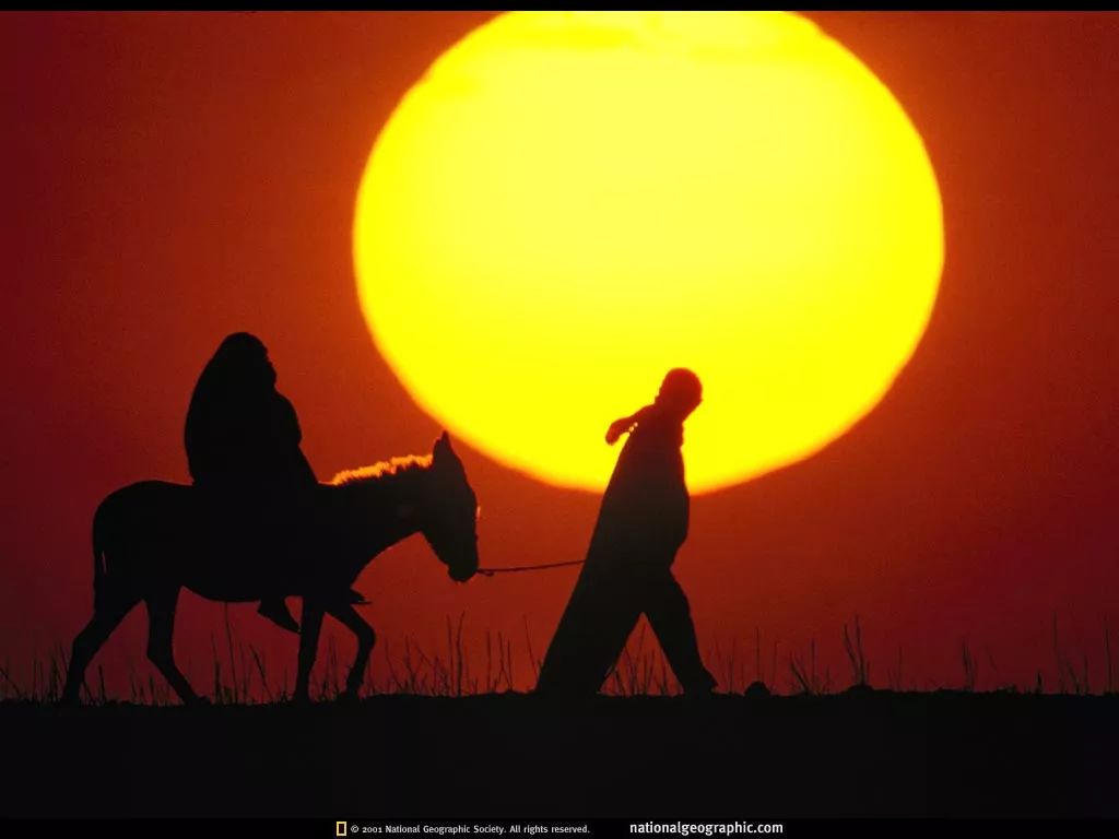 全球首富杰夫贝索斯,全球首富亚马逊