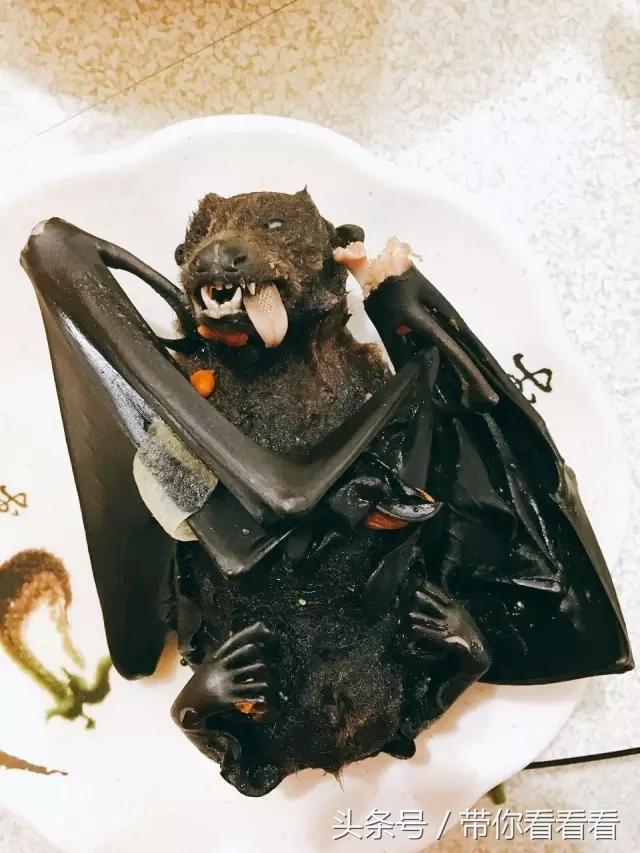 帕劳海底旅游图片,帕劳私人岛旅游推荐