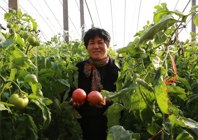 中国好人榜：聊城莘县孔春焕，她领着乡亲们挣大钱