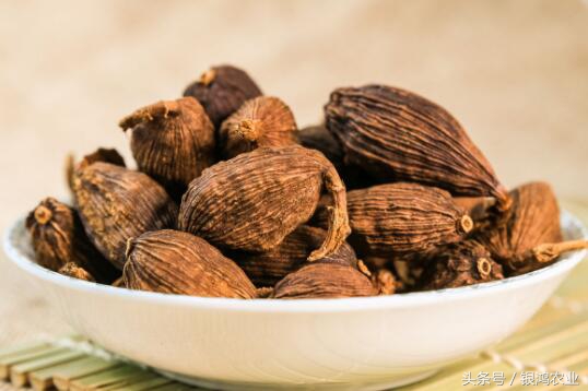 中药材市场行情变化无常,药材行情还会涨吗