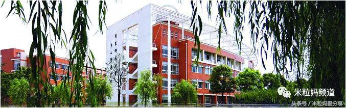 上海国际学校排行榜2023,海南上海世外国际学校