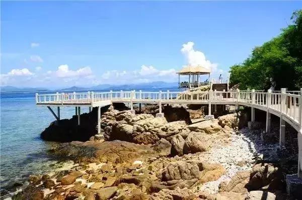 双手呈上元旦小高峰三亚旅游情况报告一份,请查收