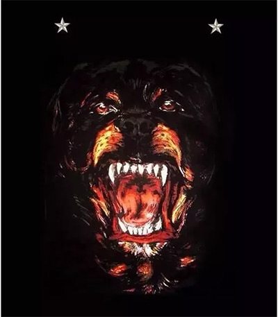 lv阿玛尼香奈儿纪梵希,lv阿玛尼纪梵希