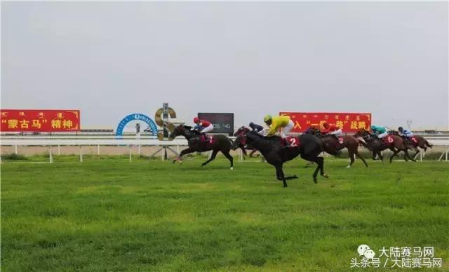 马业要闻,中国马业最受欢迎的俱乐部